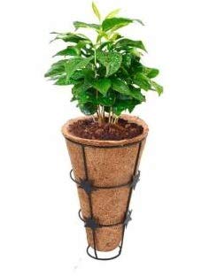 COIRGARDEN – Conical Basket for Garden Planters – 5 Inch